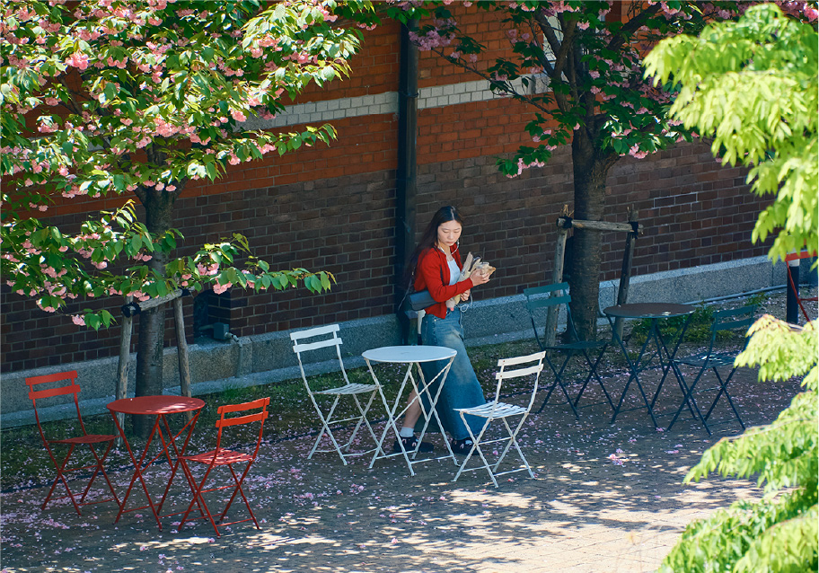 キャンパスの様子