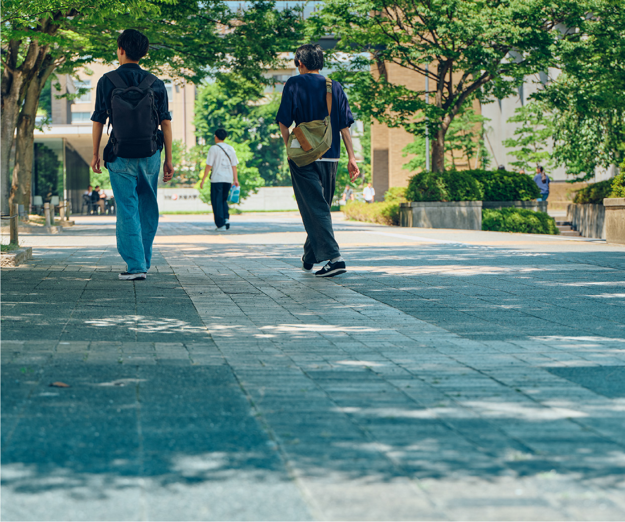キャンパスの様子
