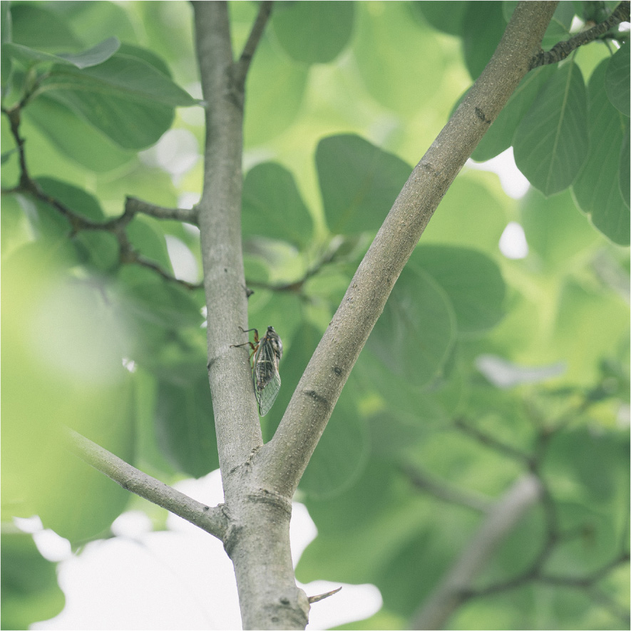 キャンパスの様子