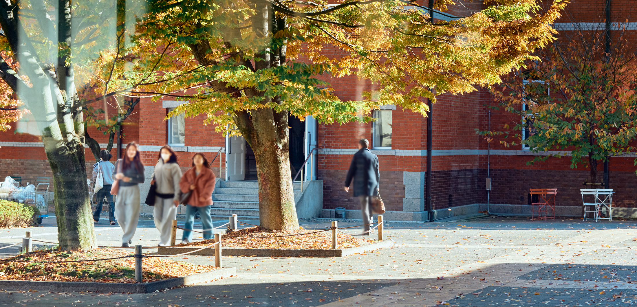 キャンパスの様子