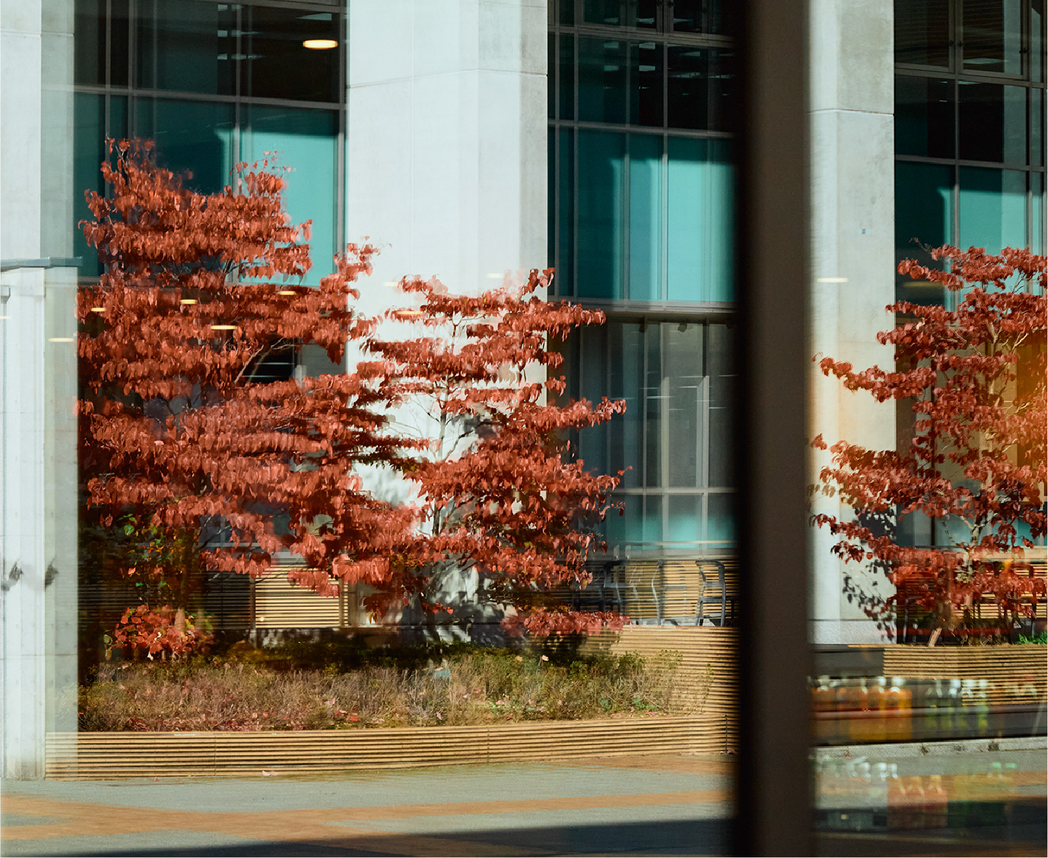 キャンパスの様子