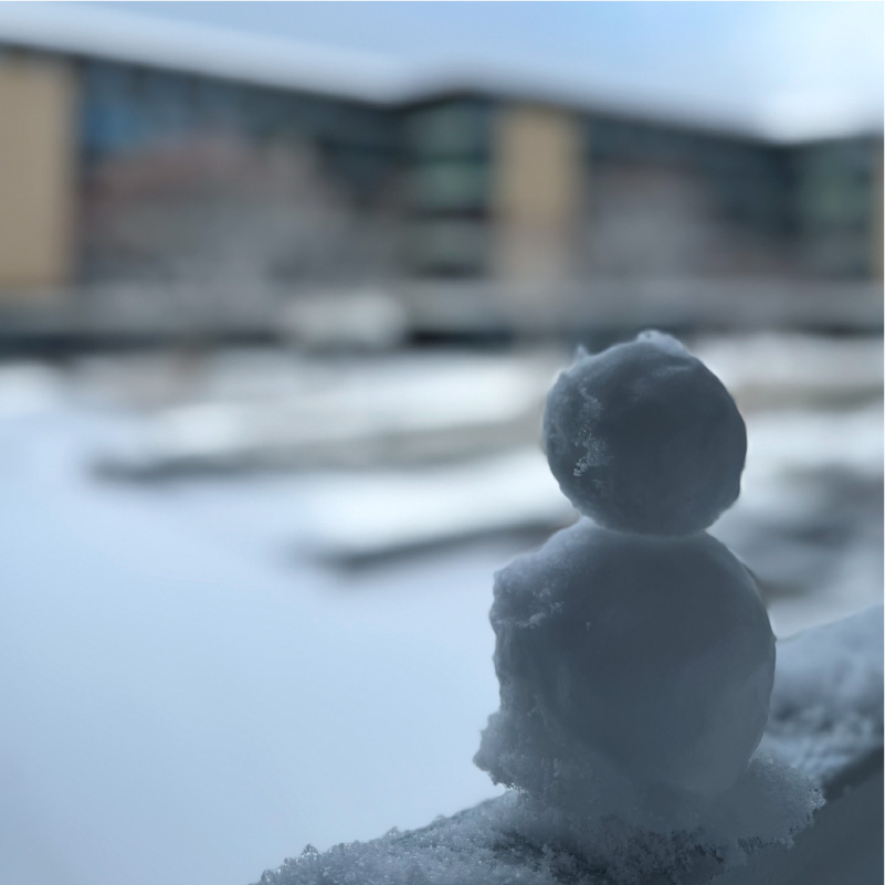 キャンパスの様子