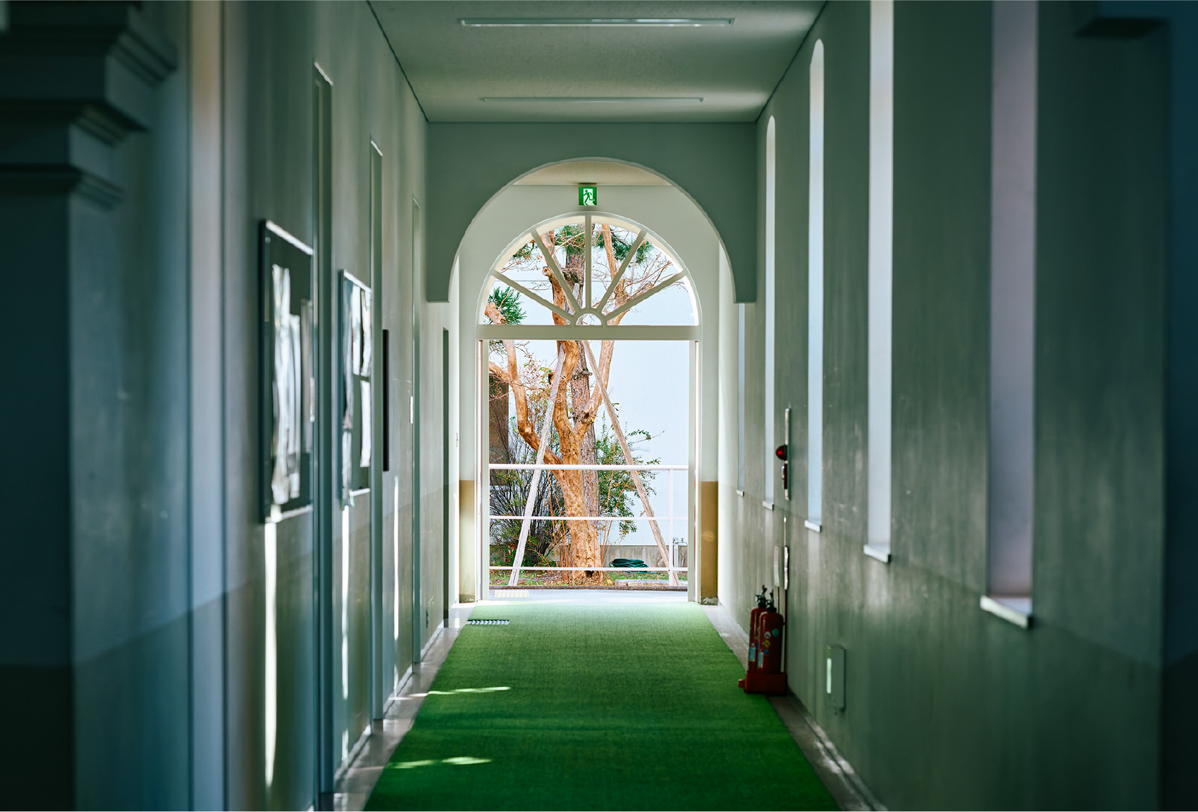 キャンパスの様子