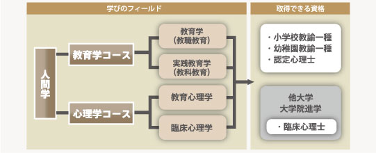 教育・心理学科コース概念図