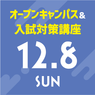 2024/12/8