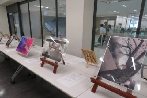 展示企画