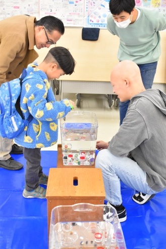 コイン落としの様子