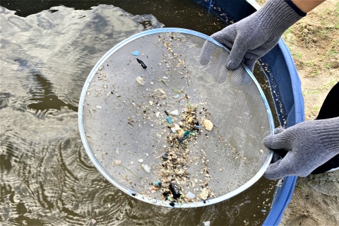 回収したプラスチック類