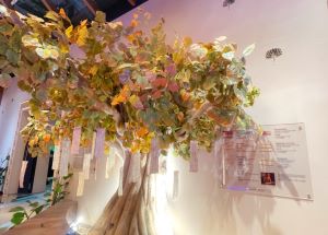 インド館入口に展示される菩提樹