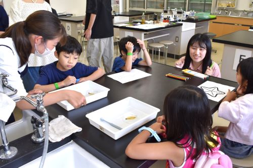 科学の力で魚釣り・葉脈作り！