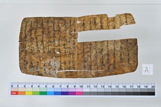 出土した白樺樹皮写本（モンゴル文字）
