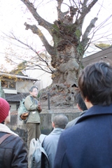 沙加戸教授のミニ講義（「犬塚の欅」にて）