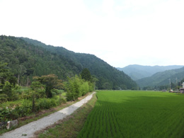 現在の久多の風景