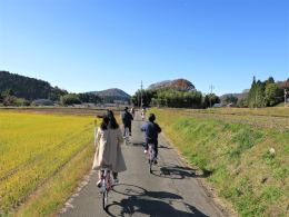 レンタサイクルで史跡を巡りました