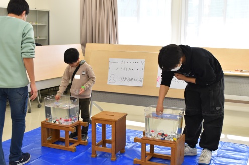 コイン落としの様子