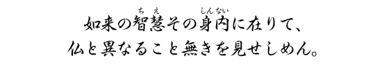 如来の智慧その身内に在りて、仏と異なること無きを見せしめん。