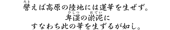 譬えば高原の陸地には蓮華を生ぜず。卑湿の淤泥にすなわち此の華を生ずるが如し。