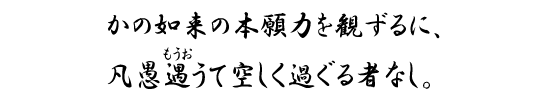 かの如来の本願力を観ずるに、凡愚遇（もうお）うて空しく過ぐる者なし。